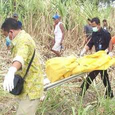 Kerangka Manusia Ditemukan di Ladang Tebu