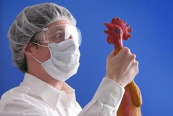 Sebentar Lagi Flu Burung Bisa Dicegah Hanya dengan Minuman Acar Jepang Ini