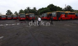 Instran Dorong Pemprov Revisi Pergub Tentang Pengadaan TransJ