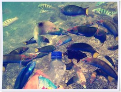 Begini Serunya Akhir Pekan di Gili Trawangan