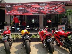 Pengendara Ducati, Pengguna Motor Fanatik