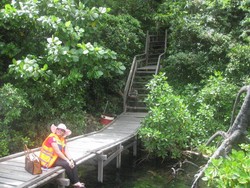 Ubur-ubur Unik & Surga Snorkeling di Derawan