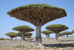 Tak Disangka, 7 Tempat Terpencil Ini Punya Alam yang Cantik