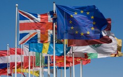 Negara-Negara Eropa Perlu Ketentuan Halal yang Seragam