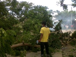  Rusuh Demo Pemekaran di Luwu, Polri Sudah Ingatkan Warga