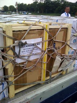 Ini Penjelasan Menag Soal Barang Bawaannya dari Tanah Suci