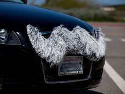 Mobil Pun Kini Bisa Berkumis