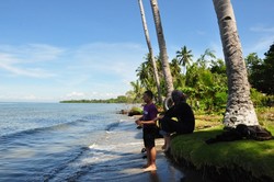 Nyiur Melambai di Pantai Lemo, Sulsel