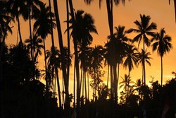 Bukan Cuma Alam Bawah Laut, Sunset Raja Ampat Juga Memukau