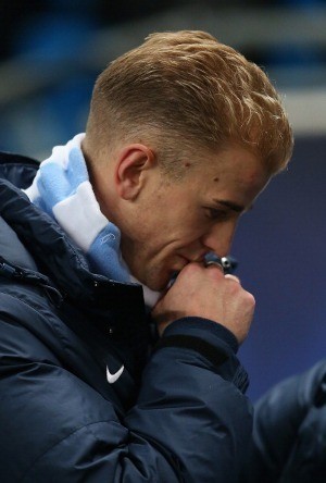 Seaman Dukung Keputusan Hodgson Mainkan Hart