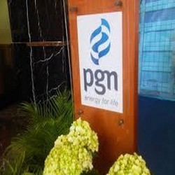PGN: Banyak Trader Tak Punya Pipa, Tapi Jualan Gas Bumi