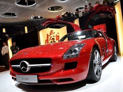 Selamat Tinggal Burung Camar!