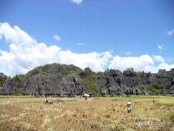 Gunung Karst yang Gagah di Berua, Sulsel