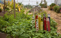 Sekolah di New York Ajarkan Berkebun dan Dirikan Rumah Kaca