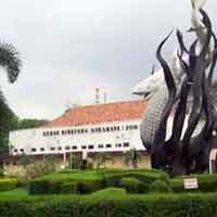 Jaguar, Hewan Koleksi Kebun Binatang Surabaya Mati