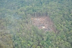 Kondisi 3 Korban Sipil yang Selamat Kian Membaik