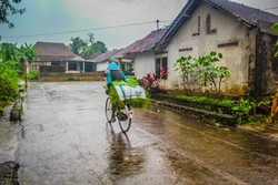 menembus hujan