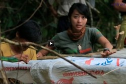 Gunung Lumut Pelindung Suku Ngului