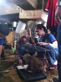 Belasan Kucing Pemulung di Kampung Melayu Dimandulkan