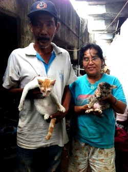 Sayang Hewan, Pemulung di Kampung Melayu Rawat Puluhan Kucing dan Anjing