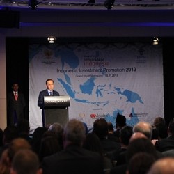 Investasi Sapi Masa Depan: Australia Pembibitan, Indonesia Penggemukan