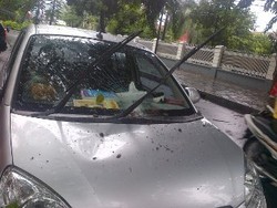 Batang Pohon Timpa Picanto yang Parkir di Dekat Rumah Dinas Jokowi