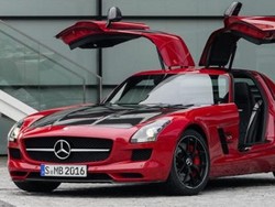 Ini Dia Tampang Si Burung Camar yang Terakhir