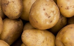 Inilah Rata-rata Harga Kebutuhan Pokok di 11 Negara (2)