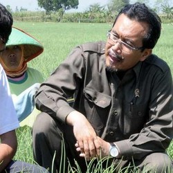 Mentan: Setelah Manggis Diterima Selandia Baru, Salak dan Mangga Menyusul