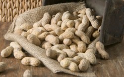 Kacang dan Cabai Bisa Picu Metabolisme untuk Tubuh Langsing