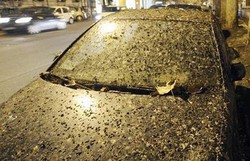 Idih! Kota Roma Hujan Kotoran Burung