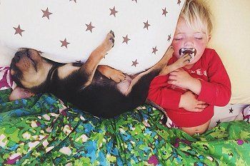 Lucu! Balita dan Anjingnya Tidur Bareng Tiap Hari Seperti Saudara Kandung