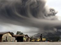 Sinabung Batuk, Abu Hujani Perkebunan