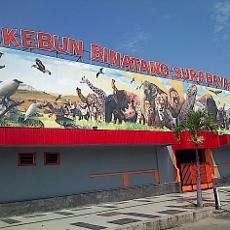 Direktur Umum KBS Dikabarkan Dipecat Walikota
