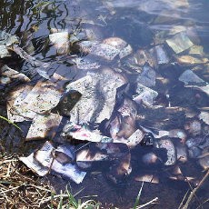 Wah... Wah! Uang Tunai Rp 1,1 M Ditemukan di Sungai Inggris