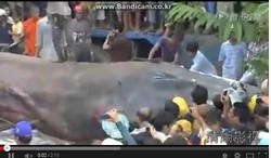 Video Monster Raksasa di Vietnam Bikin Heboh