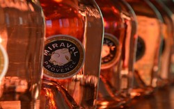 Wine Brad Pitt dan Angelina Jolie Terpilih Sebagai Best Rose In The World