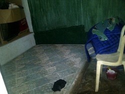 AS Paksa Sopir Rekam Adegan Mesum dengan ABG, Polisi: Dia Kelainan