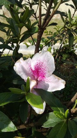Setelah Hujan Reda