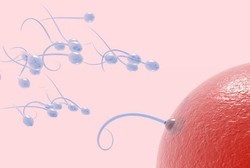 Daftar Penyakit yang Bisa Merusak Sperma (1)