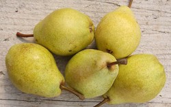 Buah Pir dan Kunyit Jadi Obat Tradisional China dan India