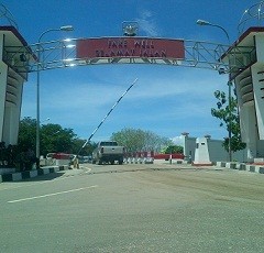 Sapi Lintas Batas Negara Kerap Picu Kisruh Warga Timor Leste dan Indonesia