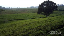 Segarnya Berendam di Sari Ater, Subang