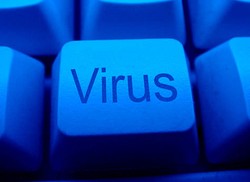 Alice From Zombieland