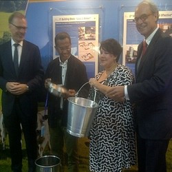 Dahlan Sebut Produksi Susu RI Turun karena Banyak Sapi Perah Dipotong