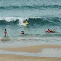 Tragis! Pria Muda Tewas Diserang Hiu di Pantai Australia