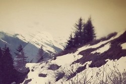 Kota Ketchikan, Gerbang Alaska yang Tak Terlupakan