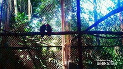 Liburan Sambil Belajar di Kebun Binatang Bandung