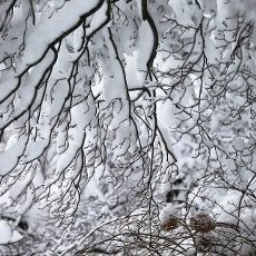 13 Orang Tewas Akibat Badai Musim Dingin di Amerika