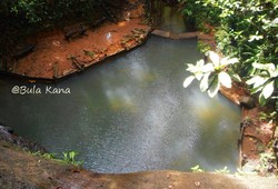 Berenang di Tempat Anaconda di Fiji